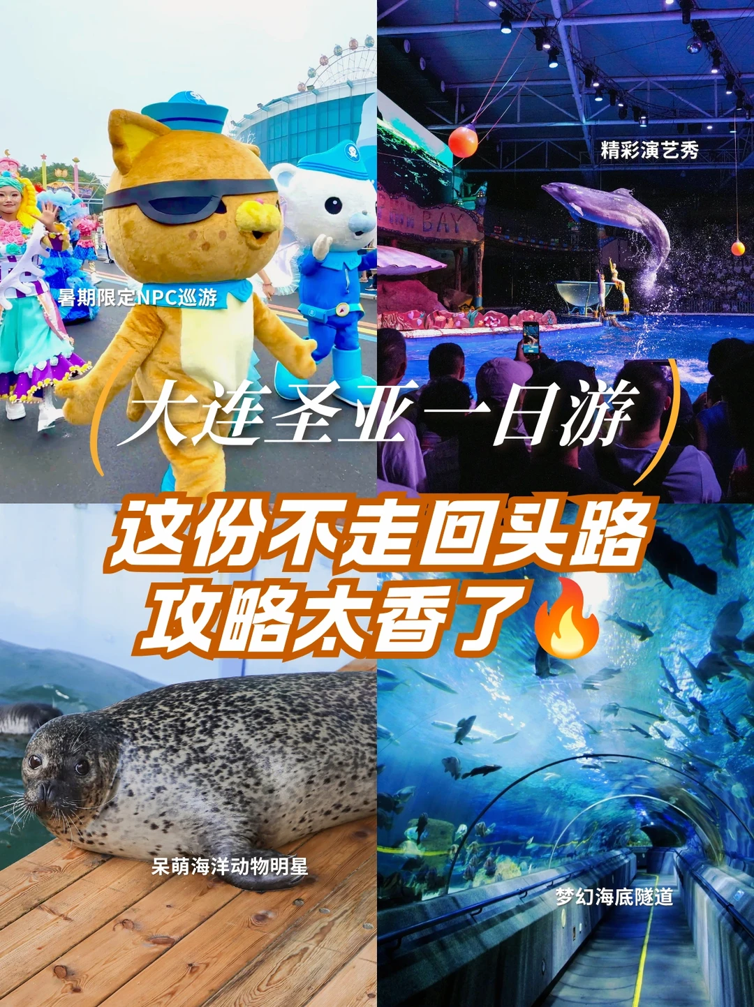 大连圣亚一日游怎么玩不亏？这份不走回头路