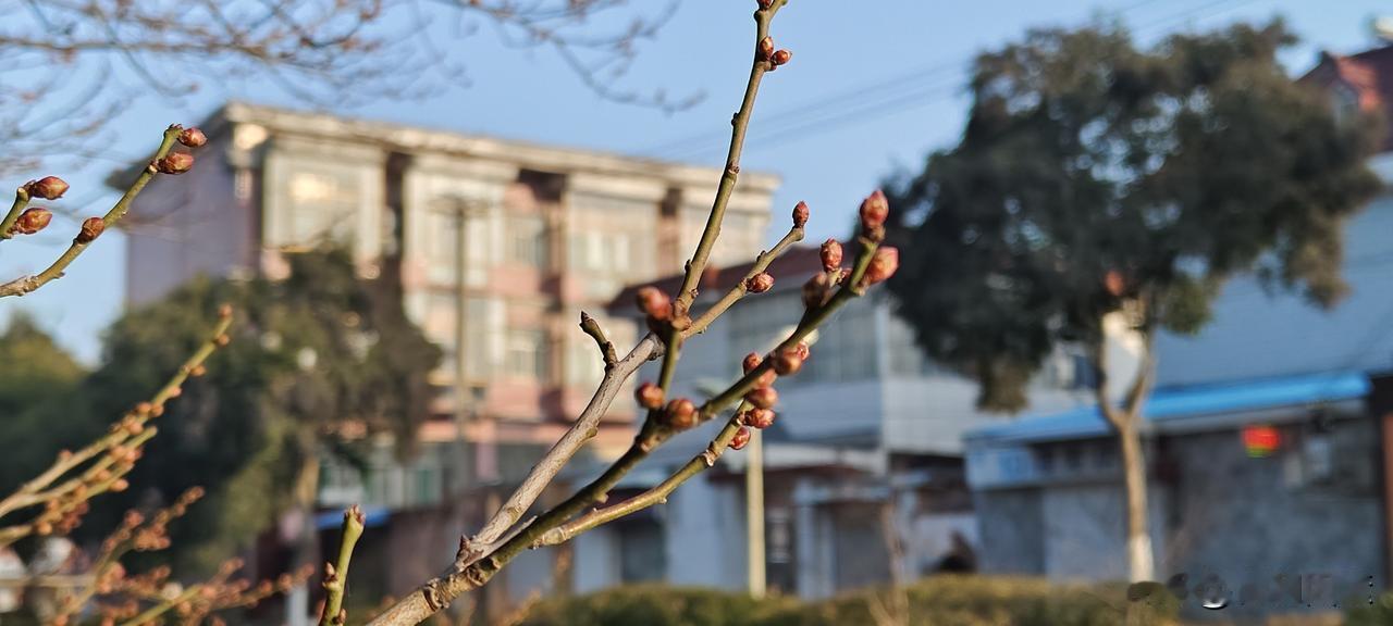 一副王炸，硬是被福建附院的一帮领导玩成了负资产
中国跑得最快的护士张水华本是单位