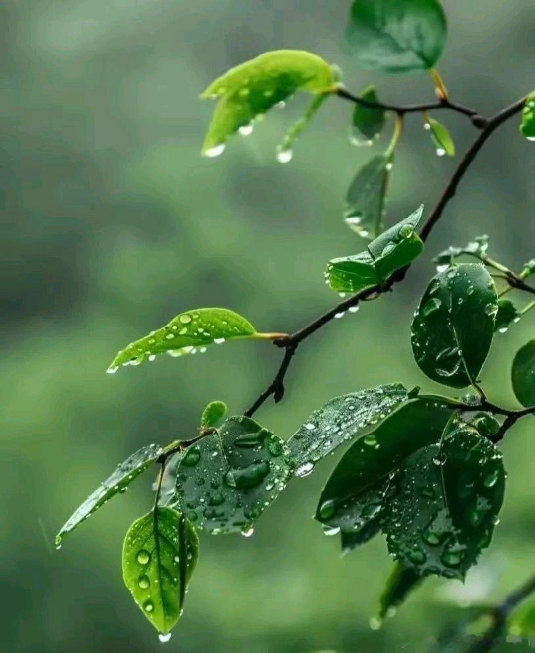 如果生活不宠你，要学会善待自己，这一生，风雨兼程，一路走来，就是为了遇见最好的自