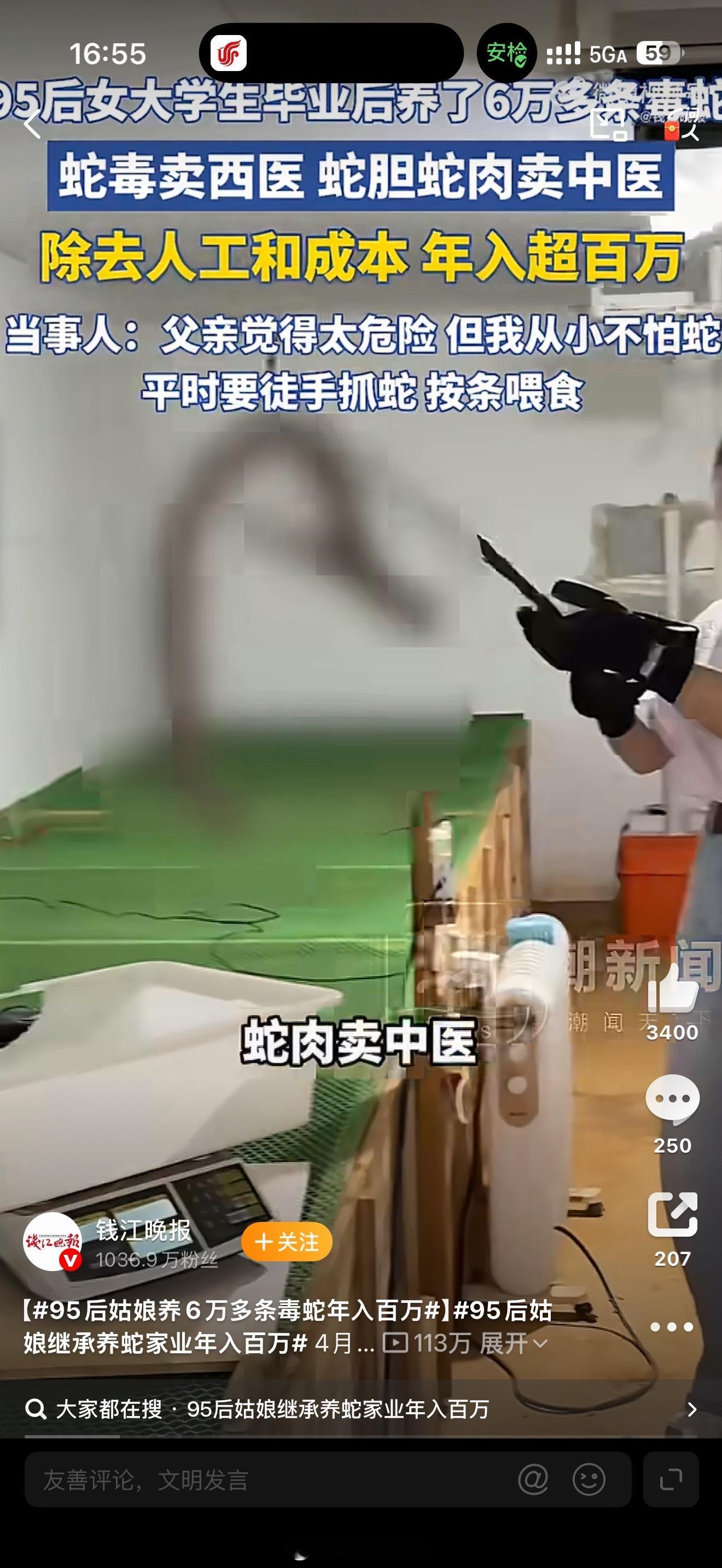 95后姑娘养6万多条毒蛇年入百万重点：蛇毒卖西医蛇肉卖中医分配合理～ 