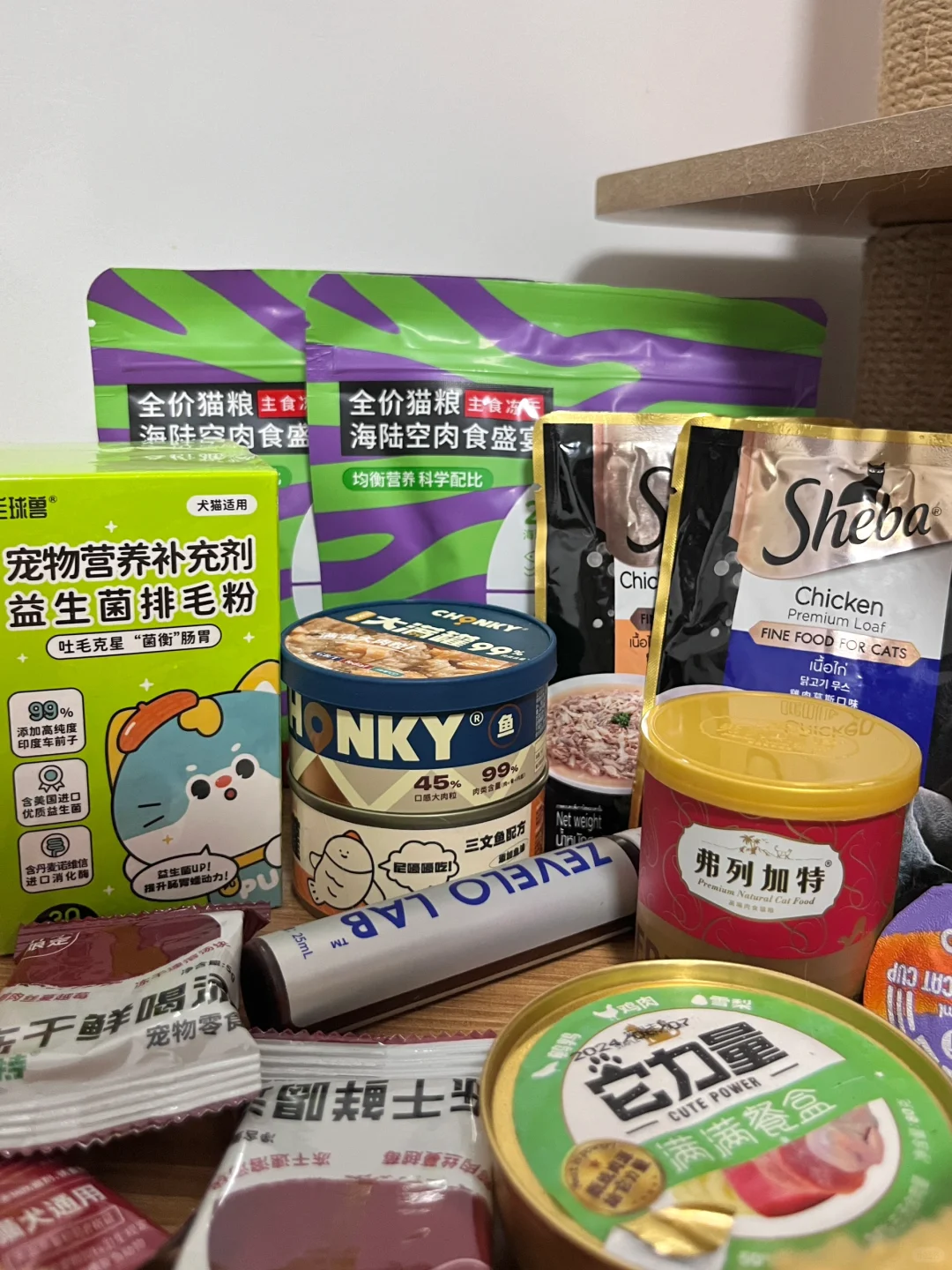 小猫咪也要过中秋🥮！！