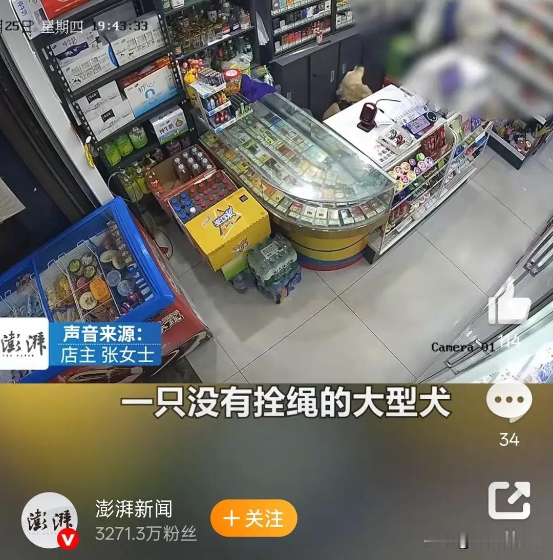 昆明4岁女童便利店被大狗扑倒 狗主人竟只挨了句口头提醒。
这起昆明4岁女童在便利
