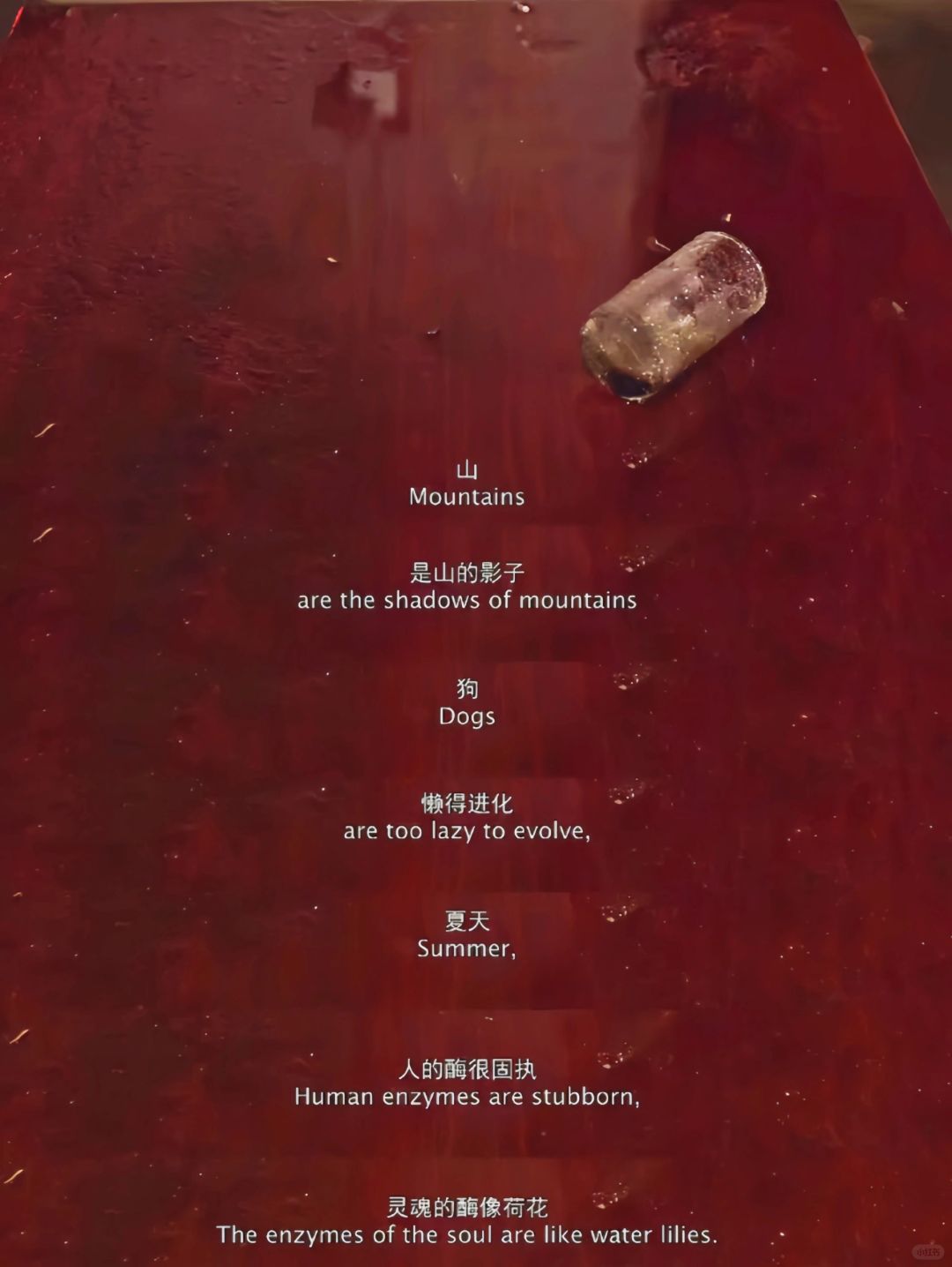 😭看哭了❗今年最好看的电影没有之一‼️