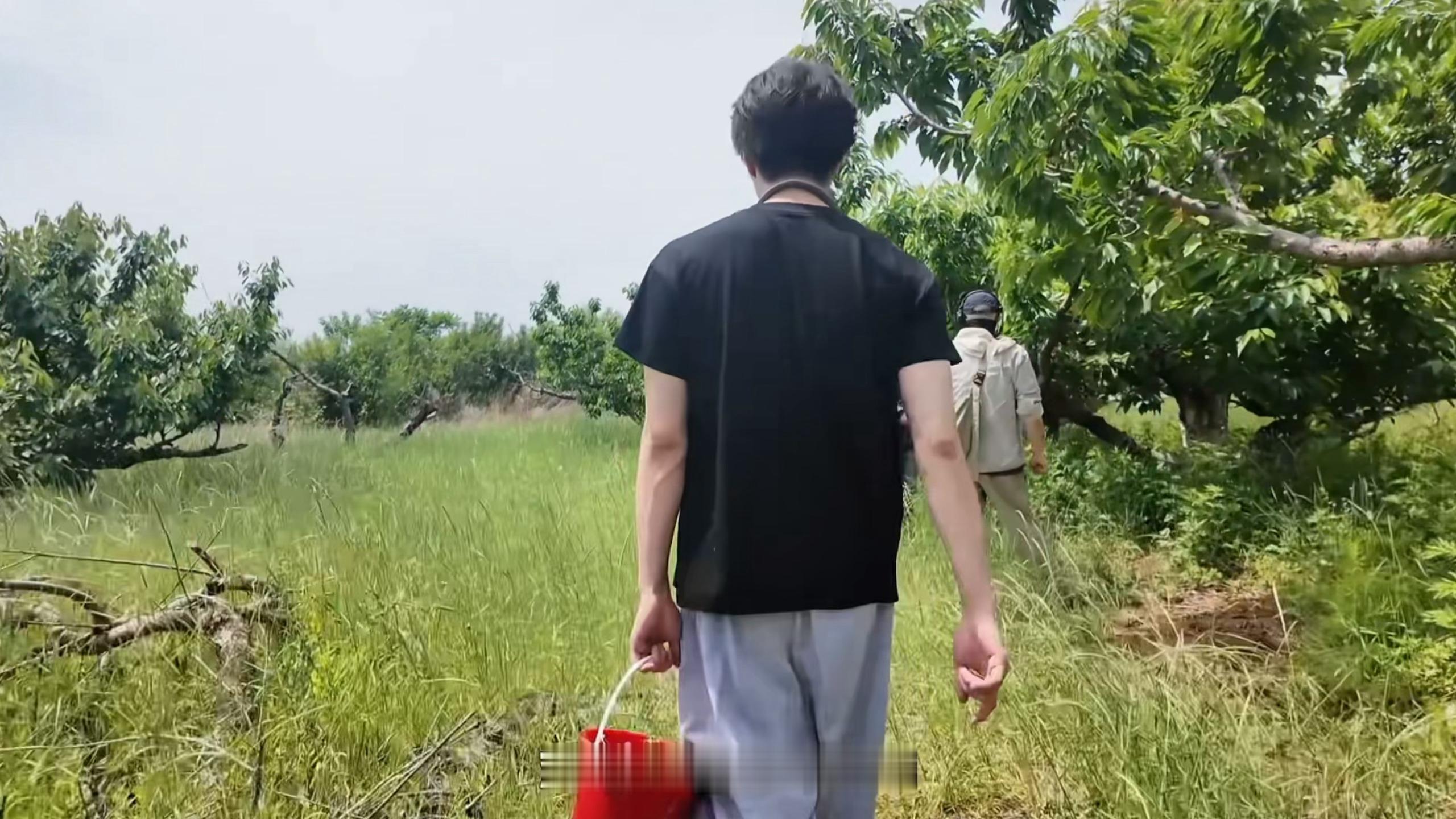 采樱桃的小菇凉~🍒 