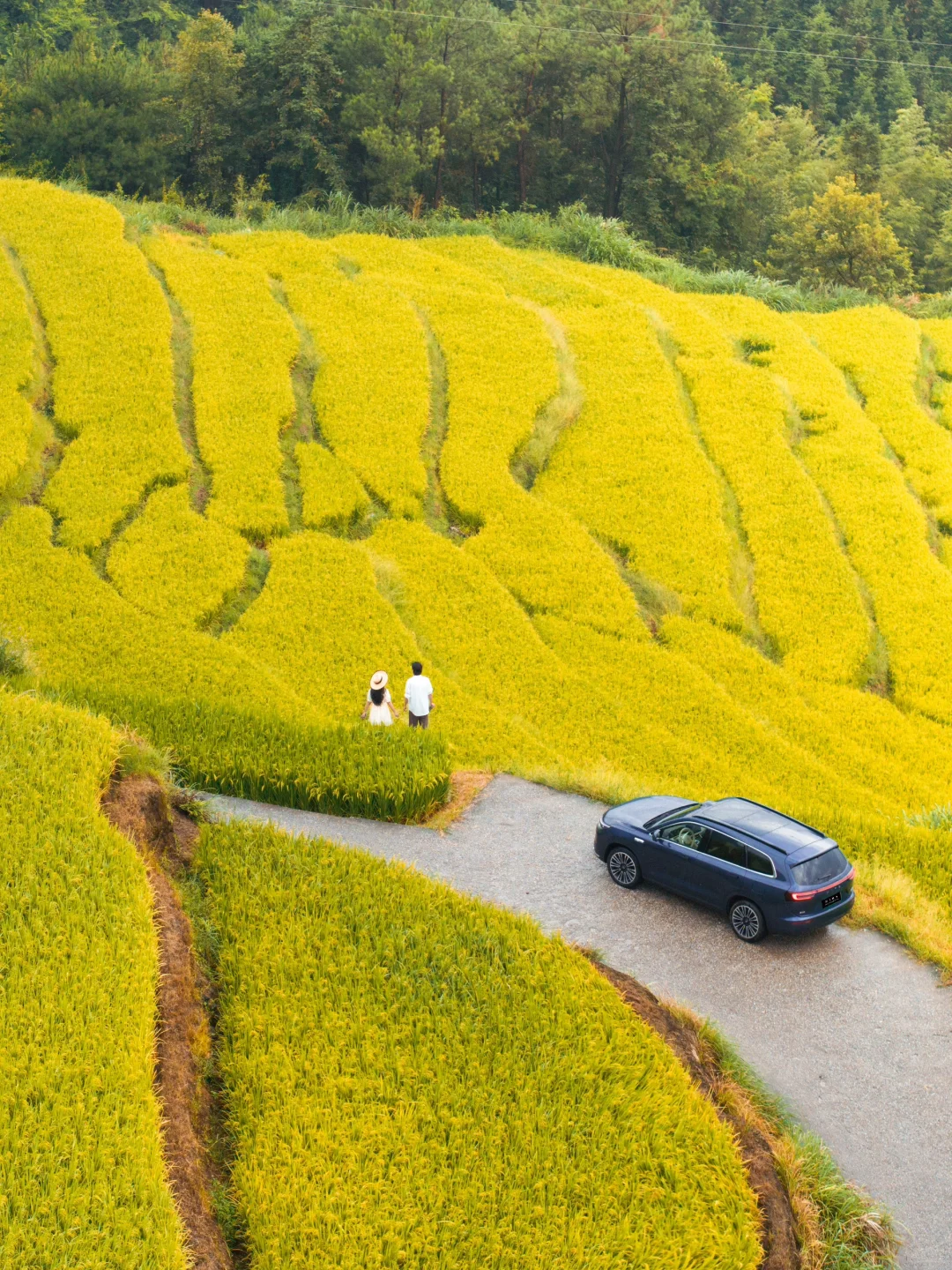 我在广东，找到了秋日童话！
