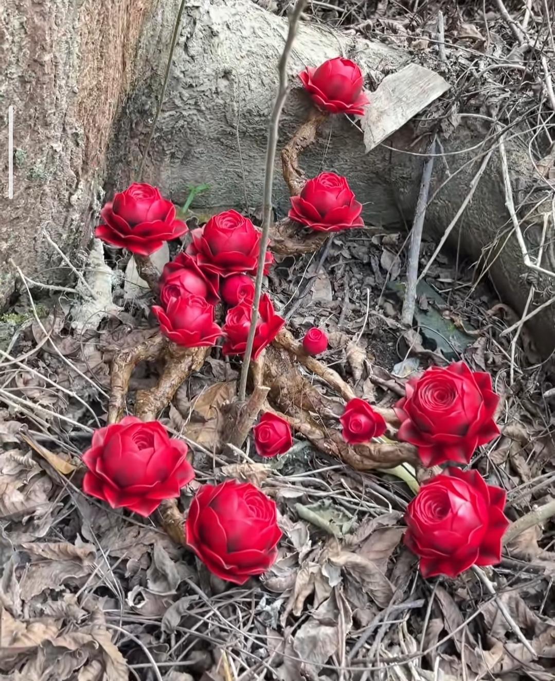 认知觉醒的最高境界是什么？认知觉醒的最高境界，是看清世界的规律，接纳自身的局限，