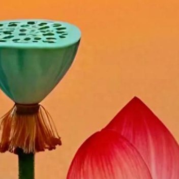 正能量人生并非都是选择题，而是在做应用题，那要我们一点一滴的去论证，是取舍的过程