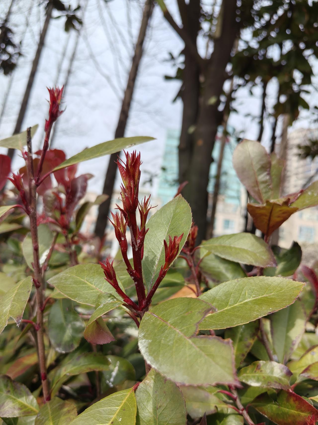 今天去银行，发现去银行现场办业务的全是老人。

因为银行卡到期了决定去银行换一张