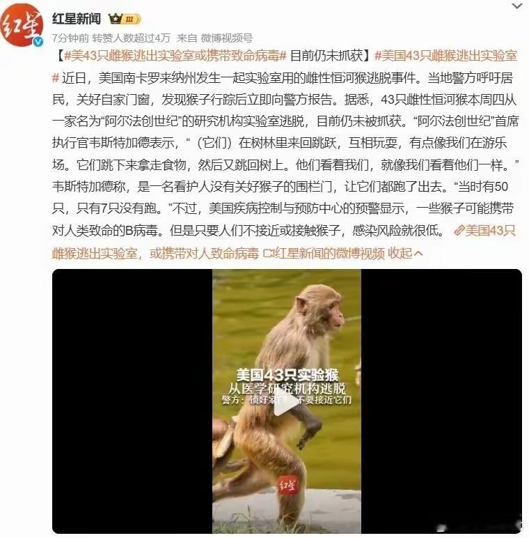 虽然官方表示，只要不接触这些猴子，感染的可能性较低，但南卡州警方还是提醒居民关好