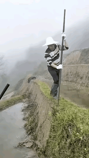 就是这么一道简单的程序，让自家农田面积二十年间扩大了将近一倍，而上面一家的农田面