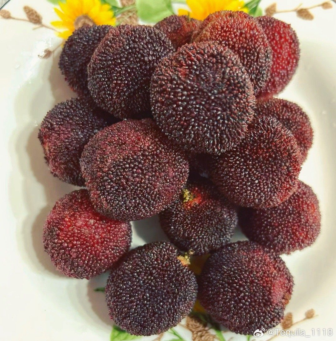 杨梅有点酸。 
