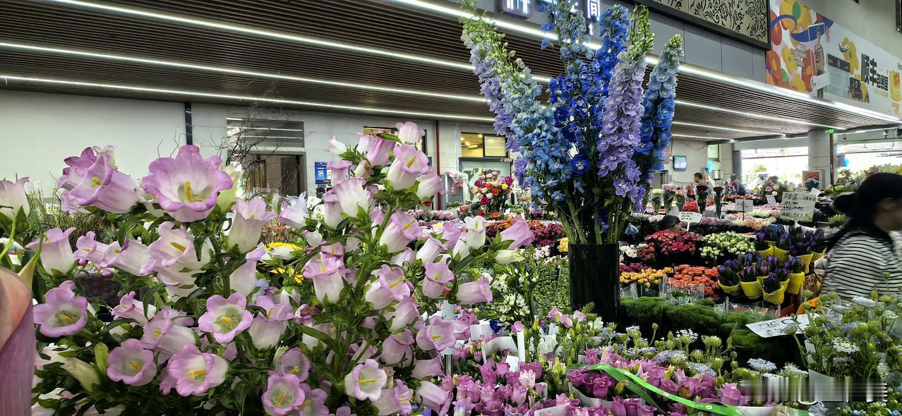 鹧鸪天·昆明春日游
 
晴日春城踏翠芳，斗南花海醉韶光。
千丛锦簇铺云甸，万种鲜