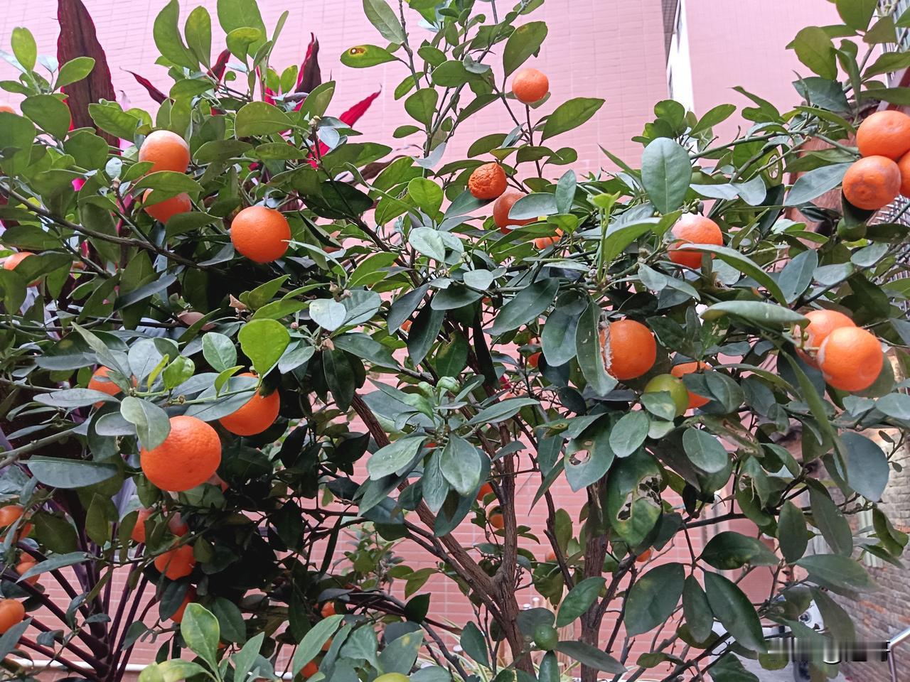 我不光在学习，还在创作。
我与头条天荒地老[比心]