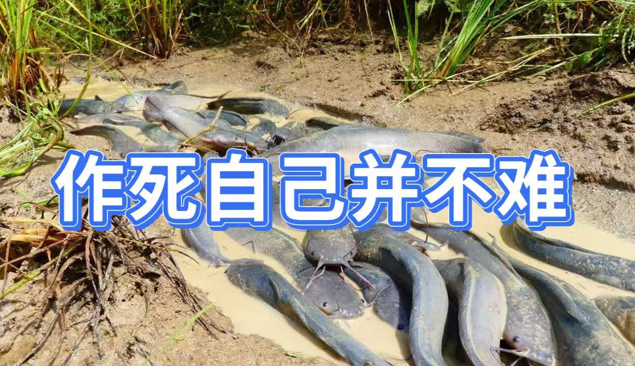 《作死自己并不难》

说这两年是普通工薪层的经济寒冬，没人反对吧？体感捉襟见肘的