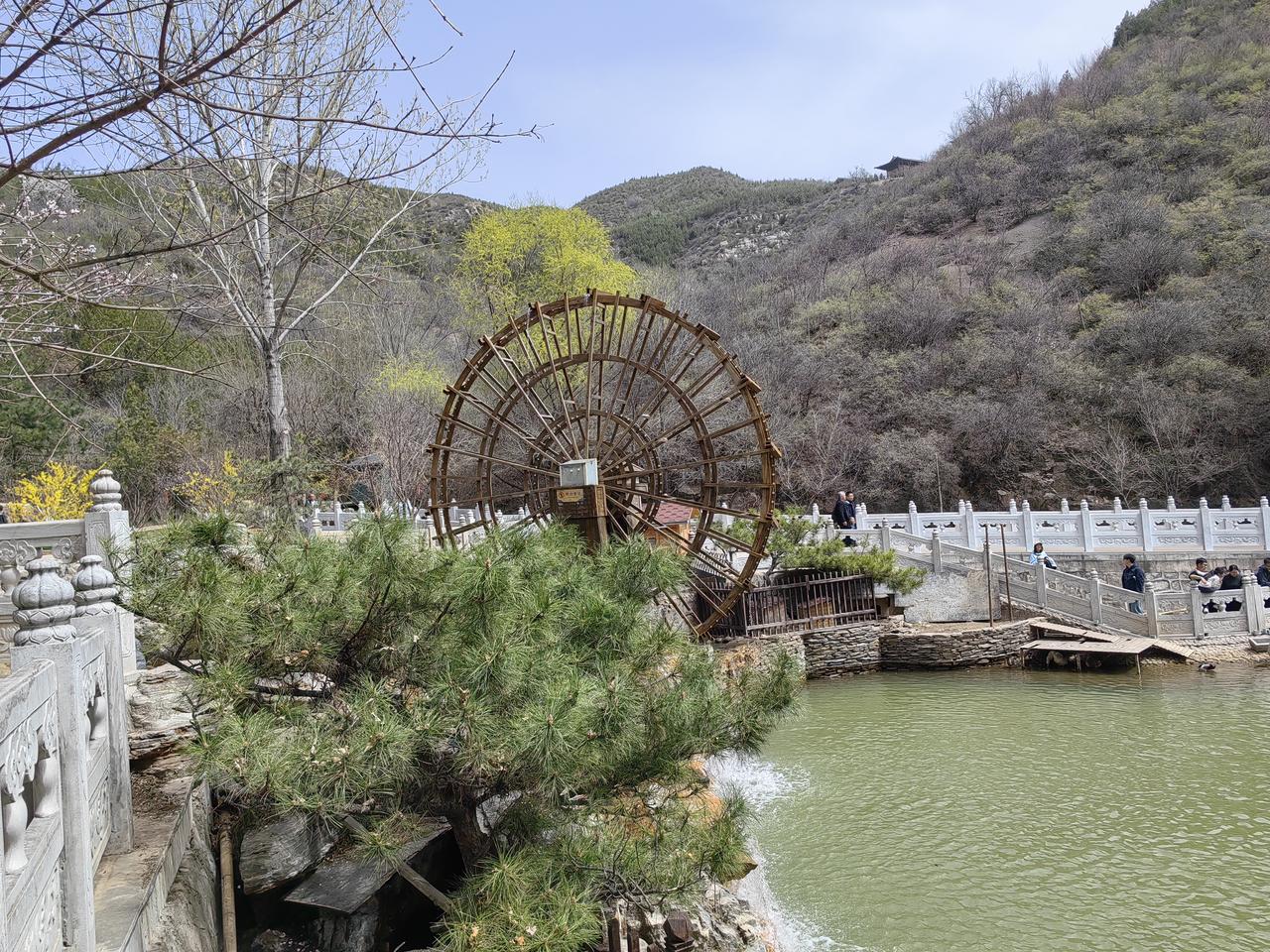 春日生活打卡季
