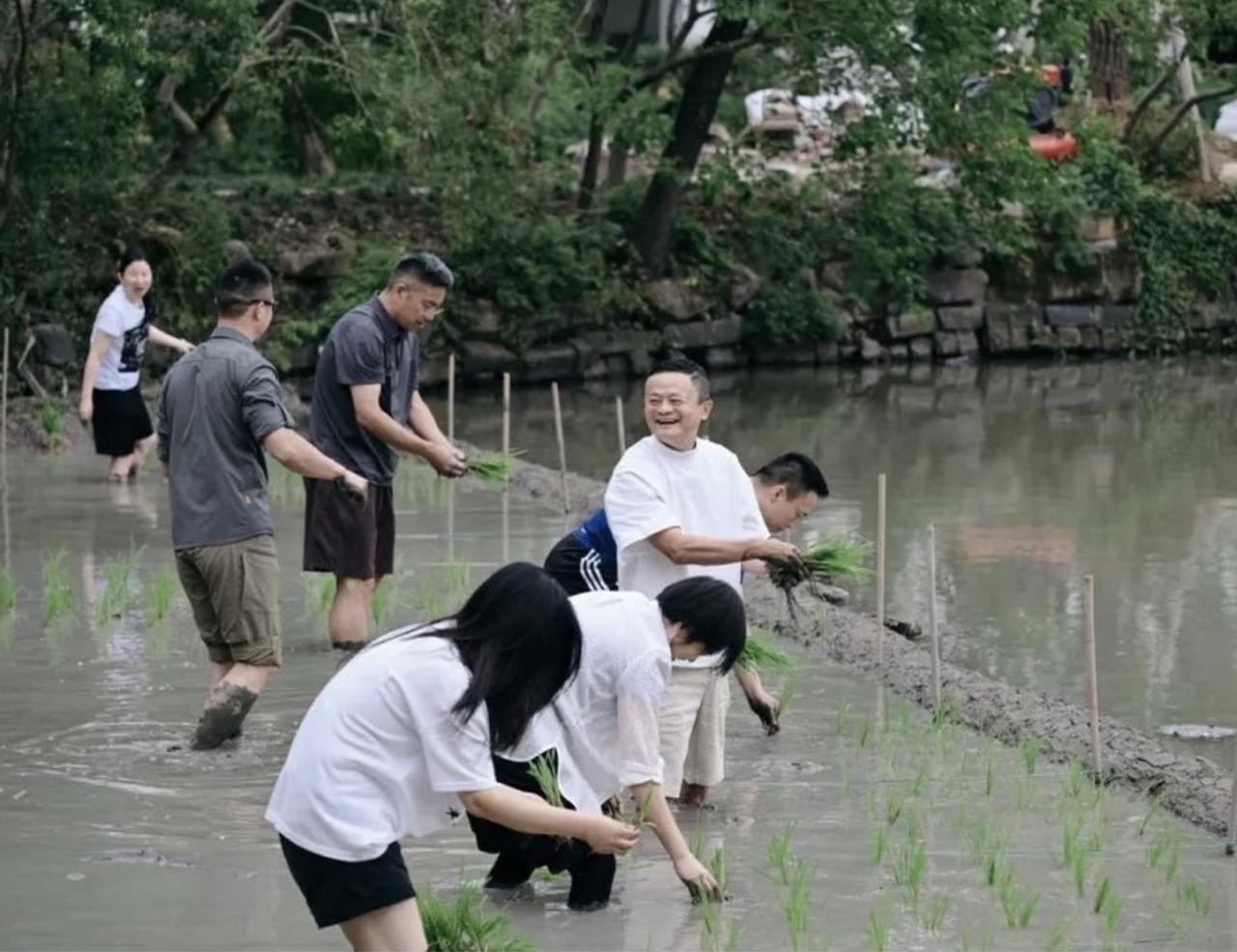 近日，马云带领阿里巴巴高层下田插秧，体验农民的辛苦劳作和生活状态。

马云站在水