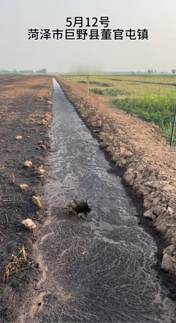 污染越治理越严重！
        一网友通过无人机发现山东菏泽一地沟里水都是黑