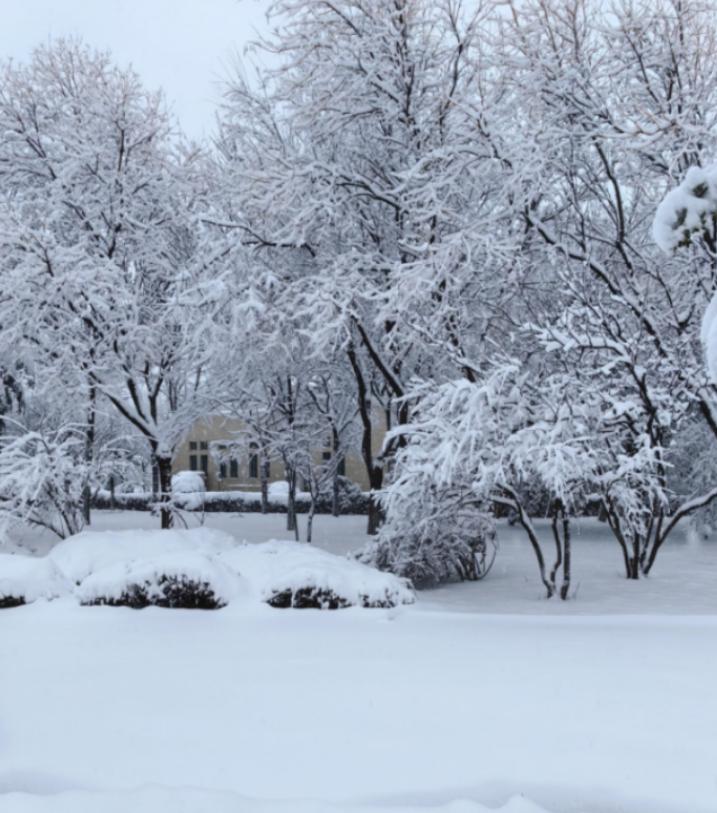 这次寒潮，重点已经不是降温了，中央气象台的首席预报员张涛说，真正要命的，是马上要