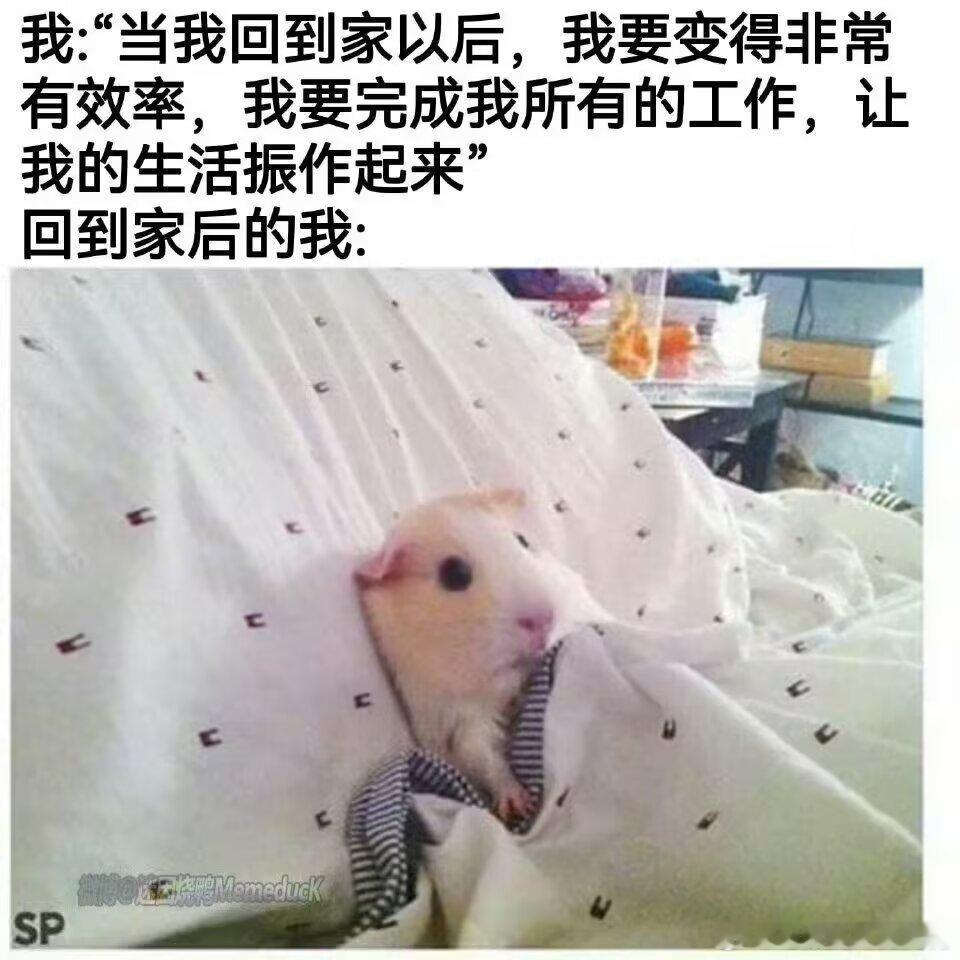 4039 