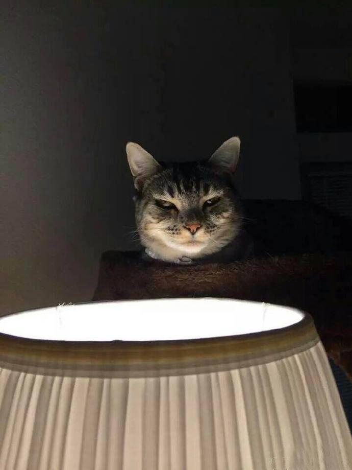 我们这是在狩猎，你们不懂就别笑！！