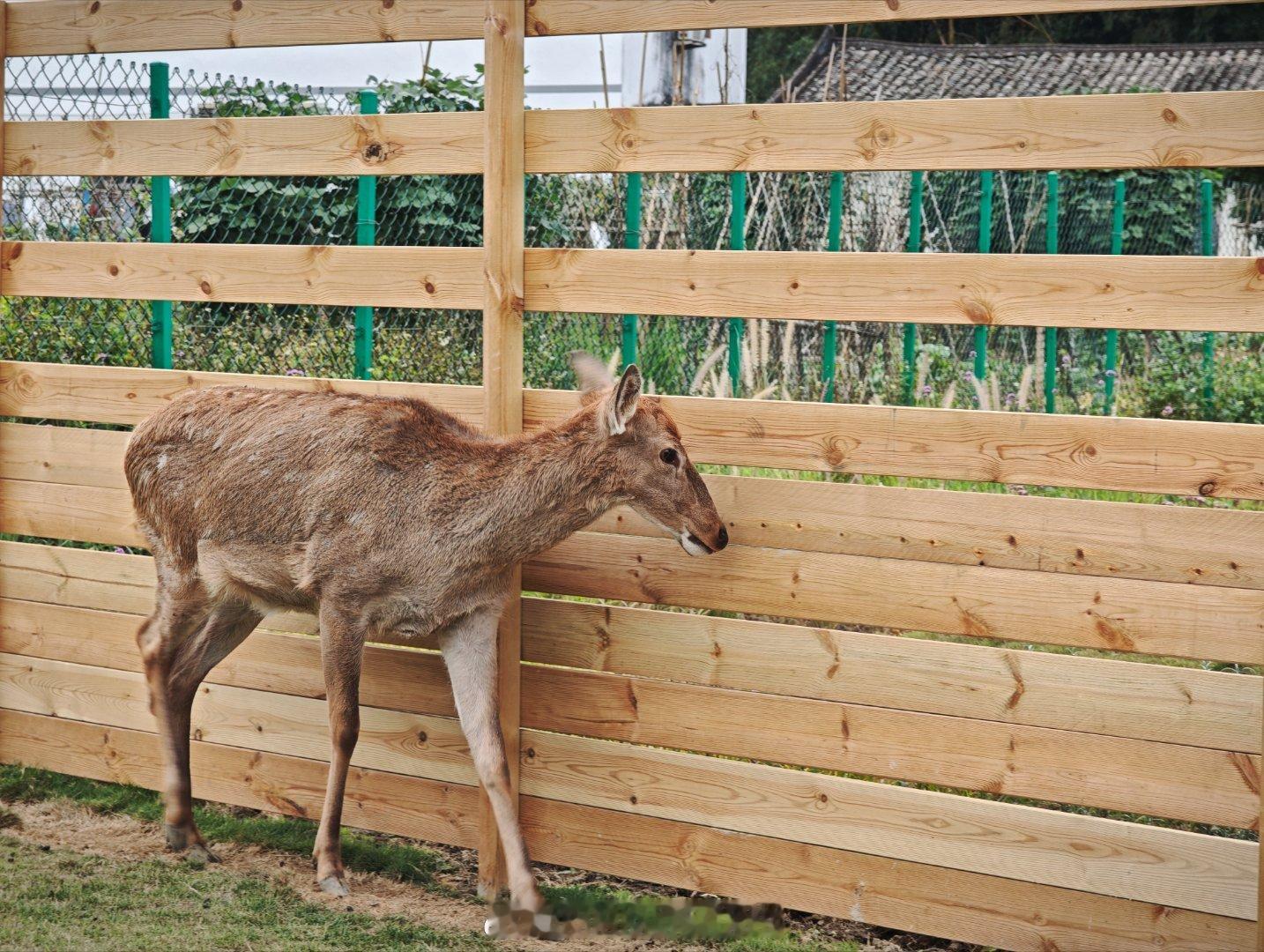 好赞的团建啊！！！呜呜呜呜呜呜~终于有一群喜欢跑山的同事达成跑山目的[捂嘴哭]太