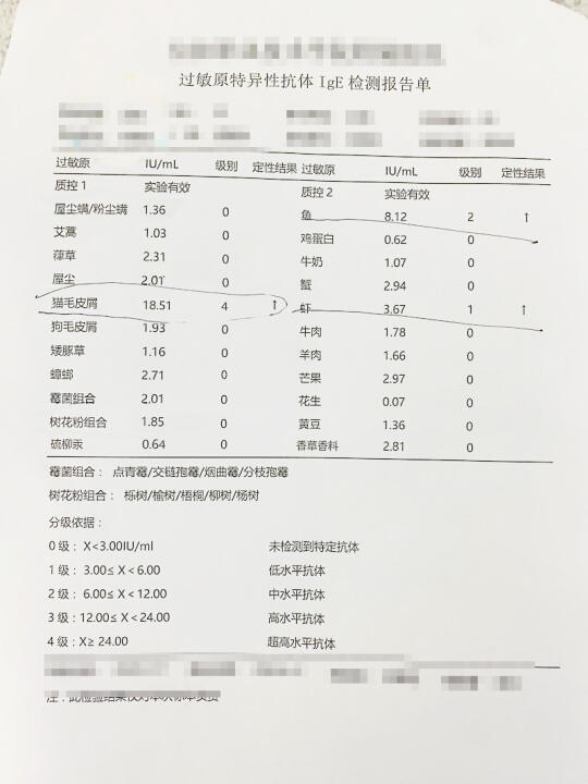 3个月改善猫毛过敏的生活记录