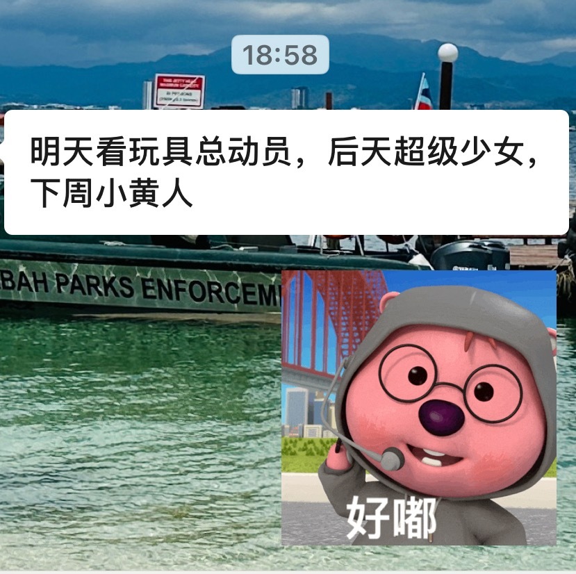 每周都不用看淘票票了，哥就安排好了。哥每周都有想看的电影，大部分时候我都是取完票