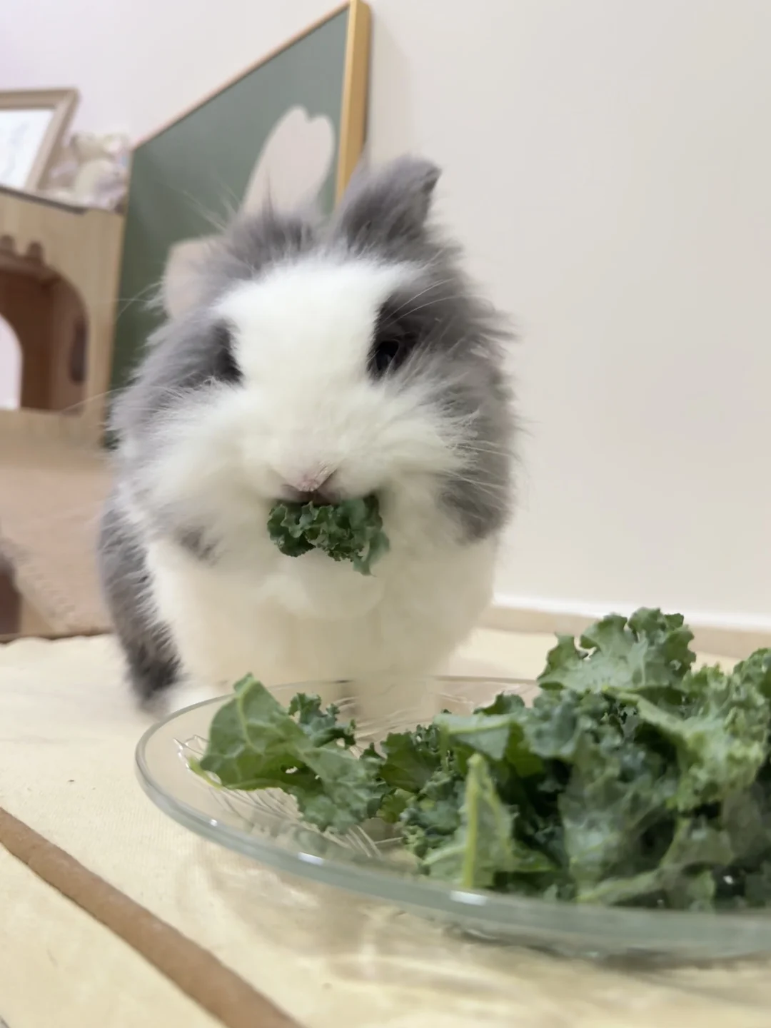 小主请吃夜宵🥦
