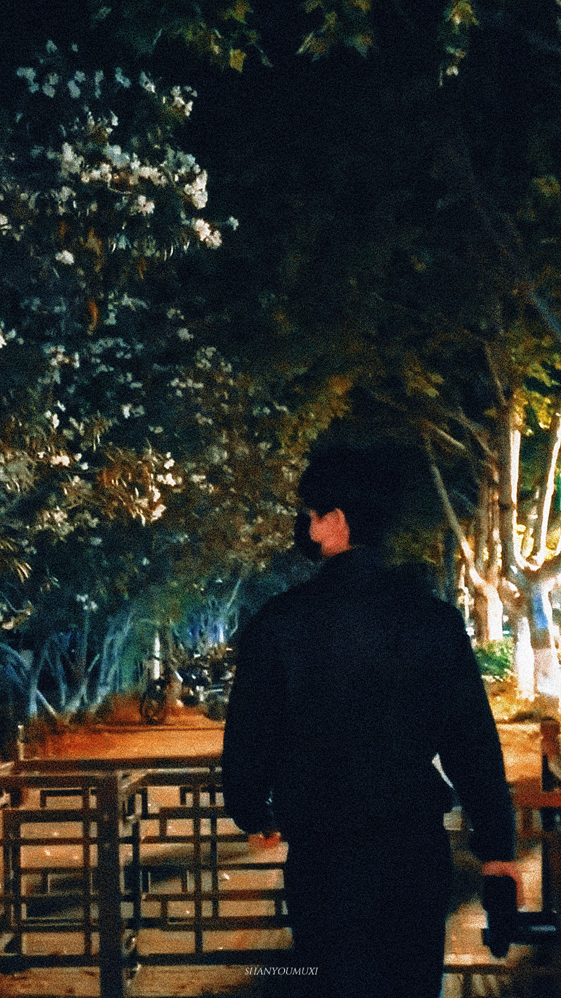 🎶场景两个人一起散着步 