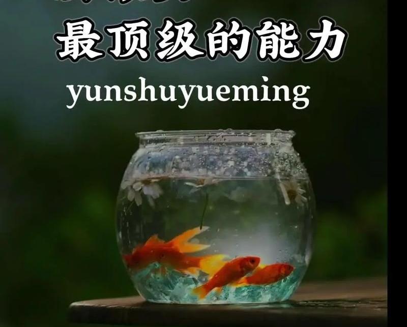 从现在起，我也要把“复杂的事简单做，简单的事重复做，重复的事认真做”当成我的人生