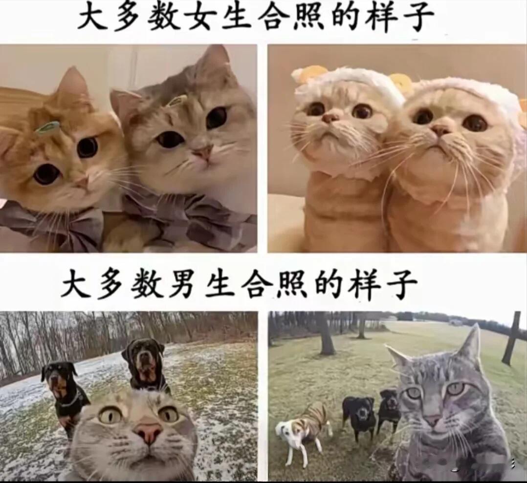 是这样吗[捂脸][捂脸][捂脸]