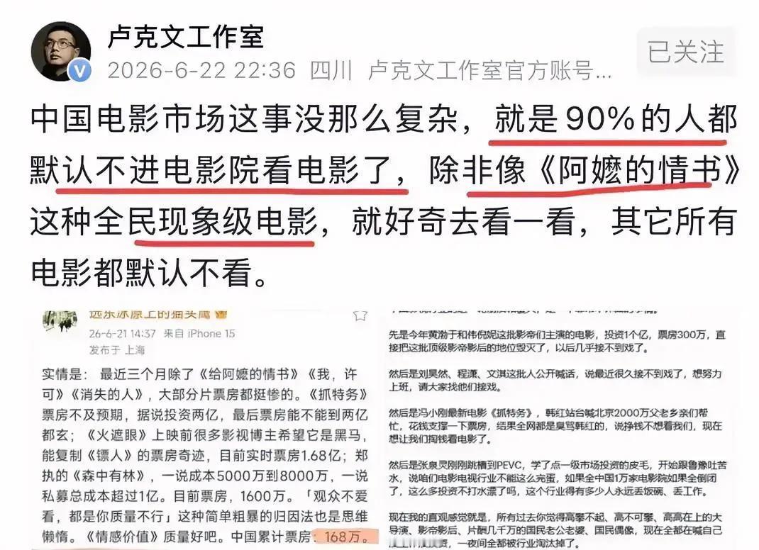 卢克文说的对呀，要不是为了陪孩子看动画电影，我都不会进电影院。就连《阿嬷的情书》
