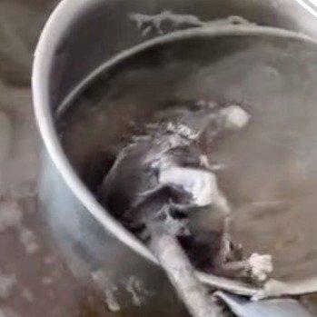 看到“早餐店汤里死老鼠脚已熬得发白”这新闻，我真是差点把隔夜饭吐出来。想象一下，