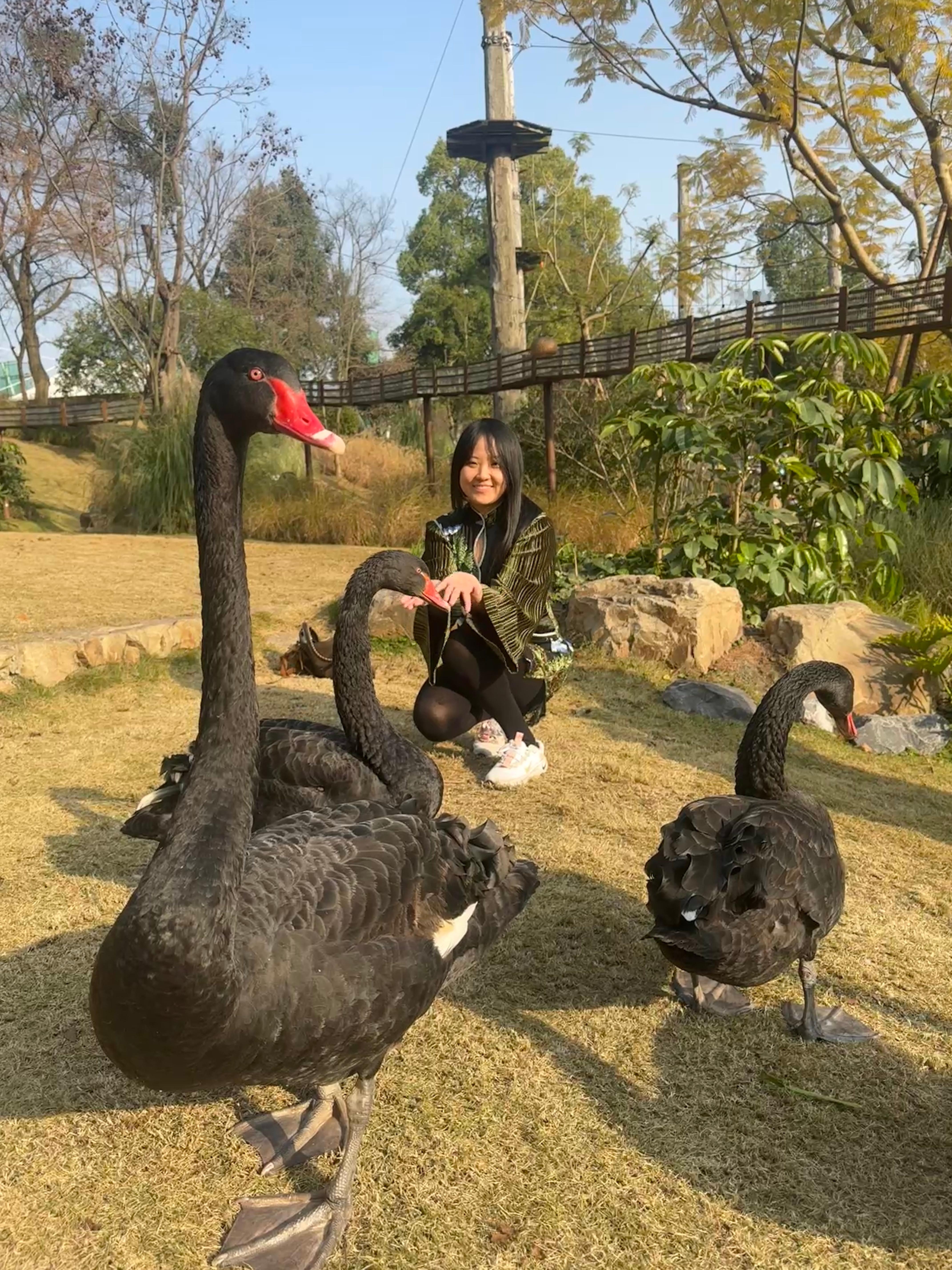 人最好的状态就是销声匿迹最近更新的很少，都在好好的生活 成都·麓客岛