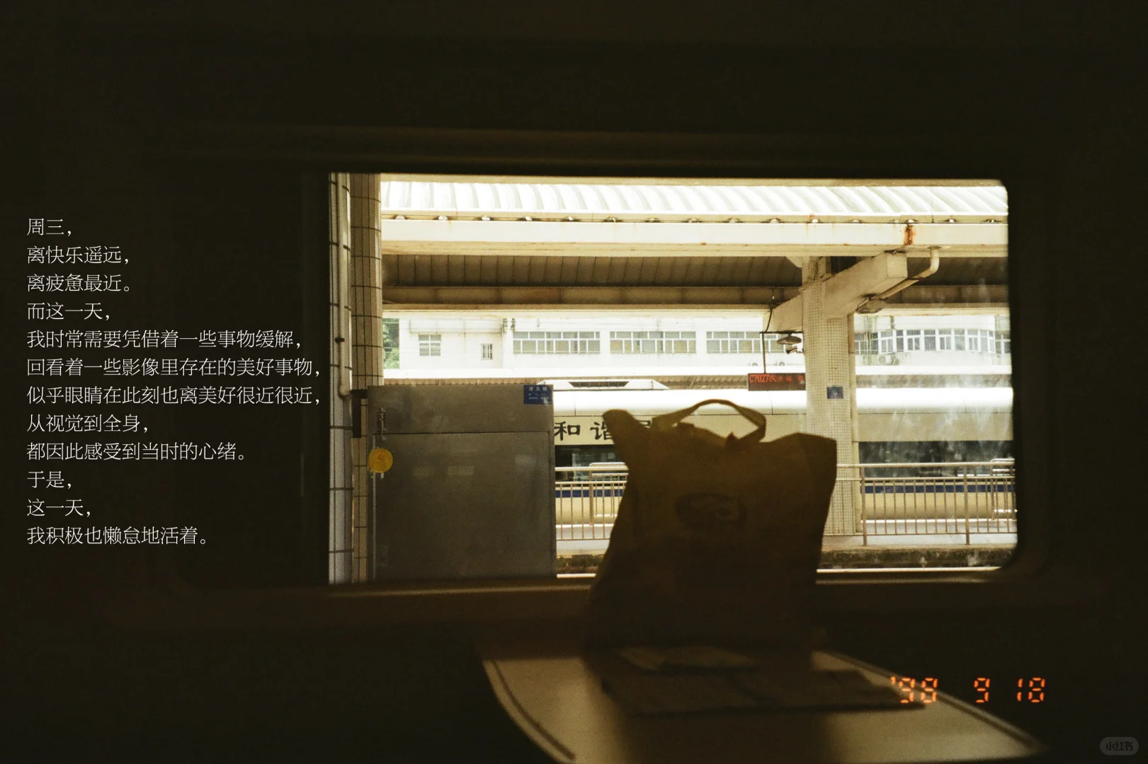 我们生活在同一片海，又各自漂浮、游离、连接。