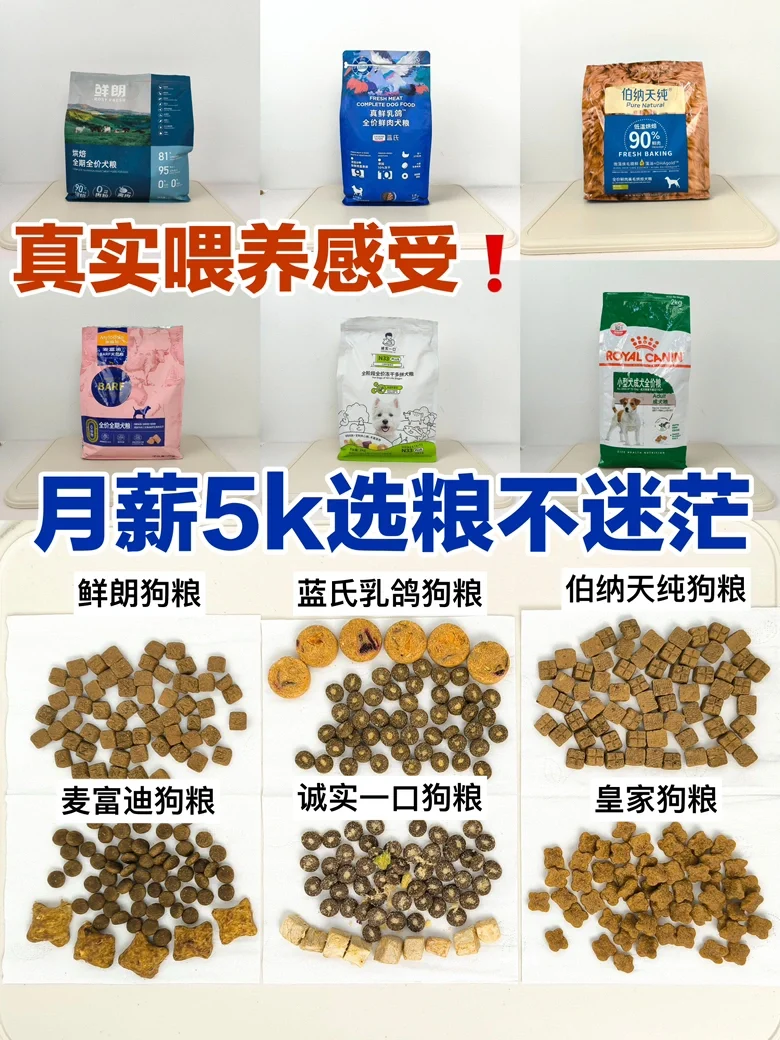 月薪5k如何挑选性价比高狗粮❓