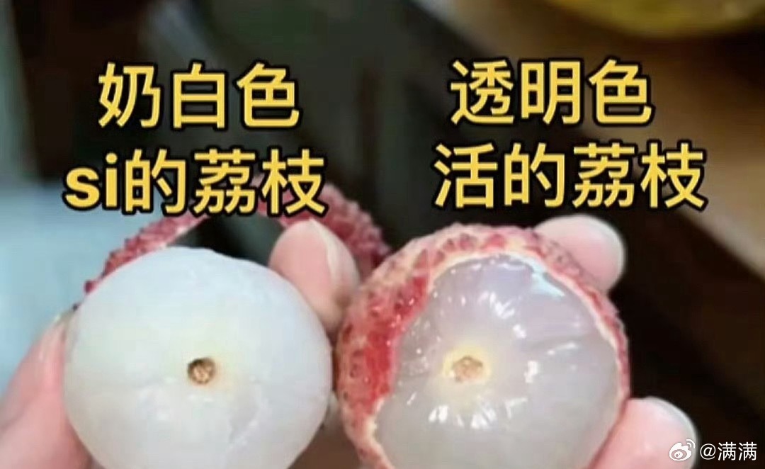 活荔枝 死荔枝省流，这下我荔枝都不敢吃了 