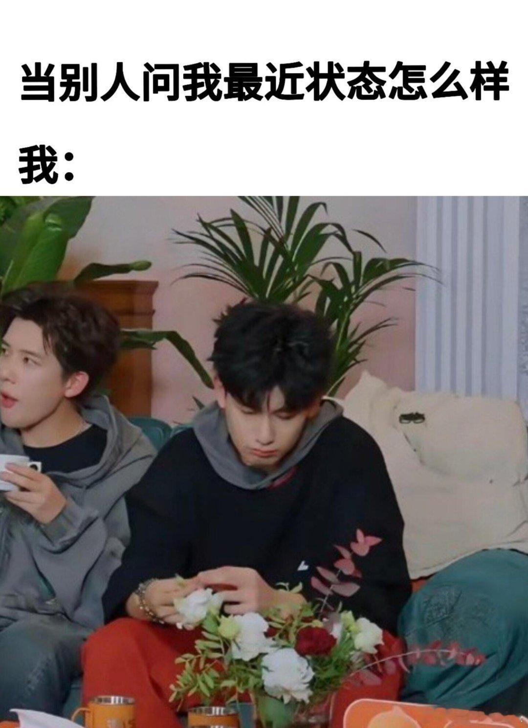 正在烘焙胡先煦meme人类审萌积累中！我将在家研究胡先煦拍照角度未来十年没人能懂