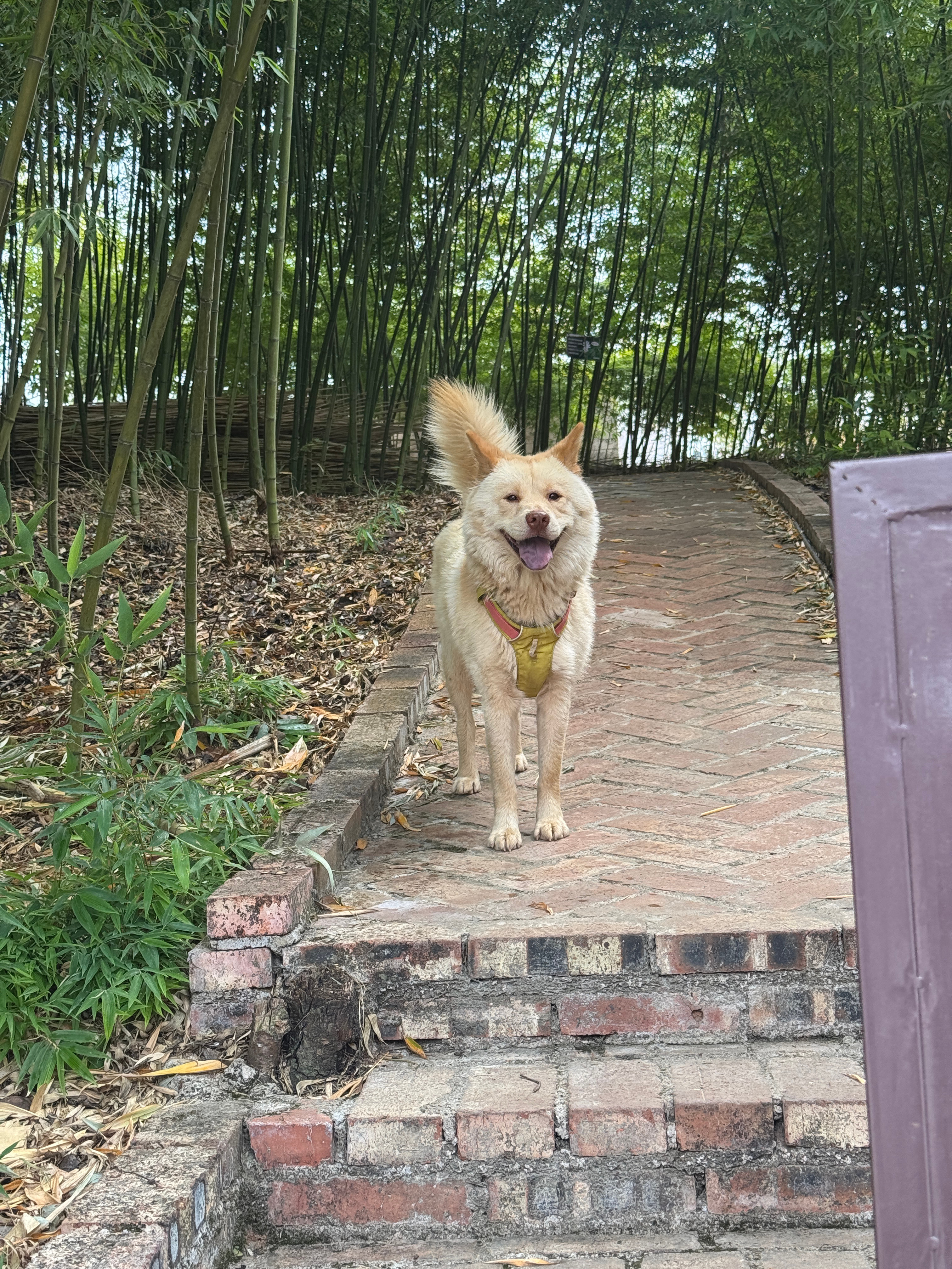 小伙子越来越帅了 