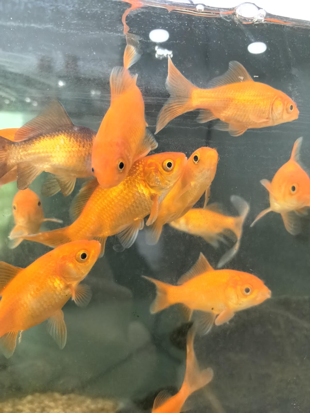 人为什么会焦虑？

学习成绩不好，短时间又提高不了；
工作不顺利，业绩也不够突出