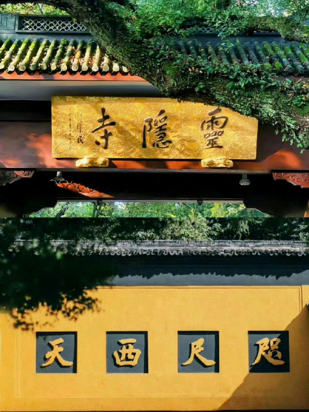 刷到灵隐寺，不要无视， 评论很灵🙏 ​​​