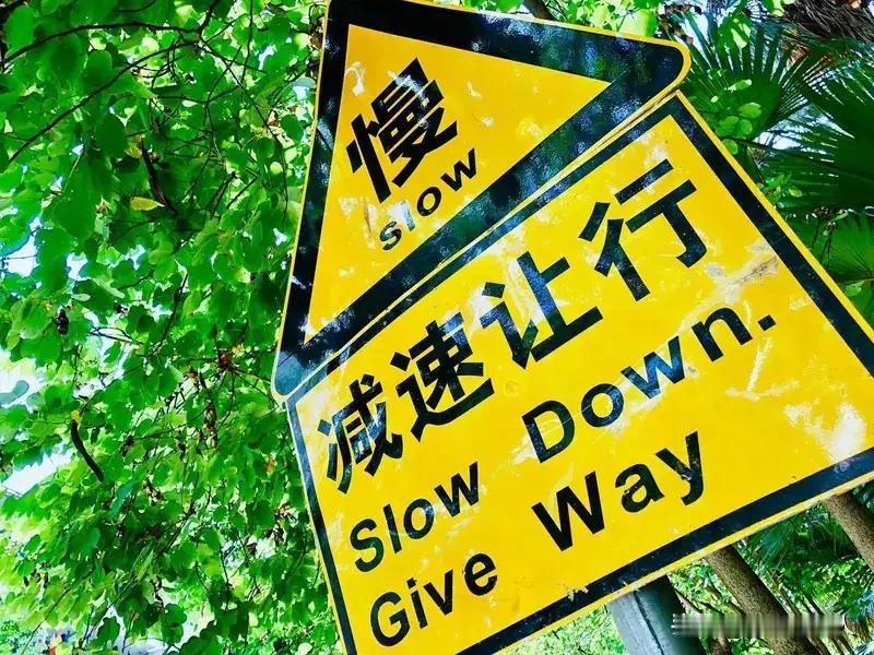 “老头乐”上路出事，承担责任大，老人出行要三思而后行！
据媒体2月8日报道，上海