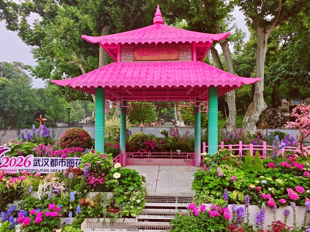 4月29日2026武汉都市圈花展将启，武汉设沙湖公园C区为主展区，中山公园、武汉
