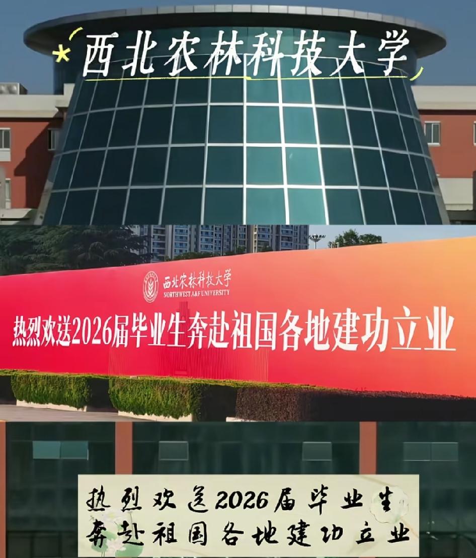 2026年高校毕业毕业寄语脱离了"前程似锦"之后，我们才重新见识到中文之美！最让
