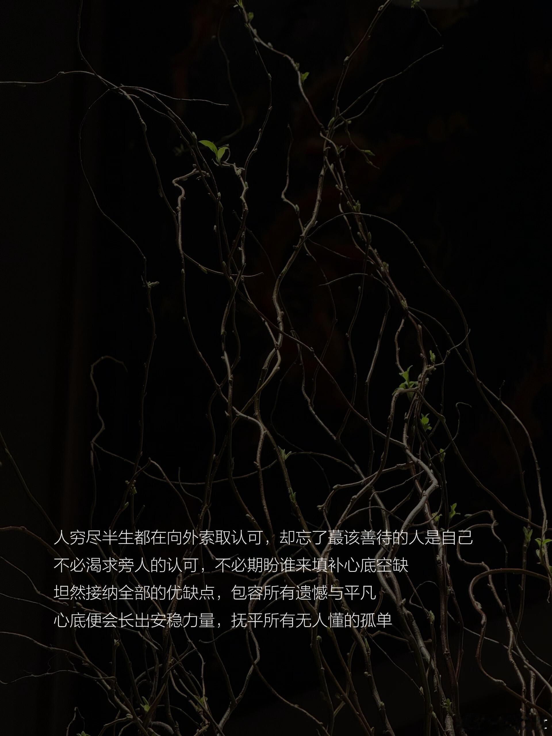 “你是山，才会遇见山”唯有把自身沉淀成沉稳山峦，方能与同频的山川遥遥相逢。低处只