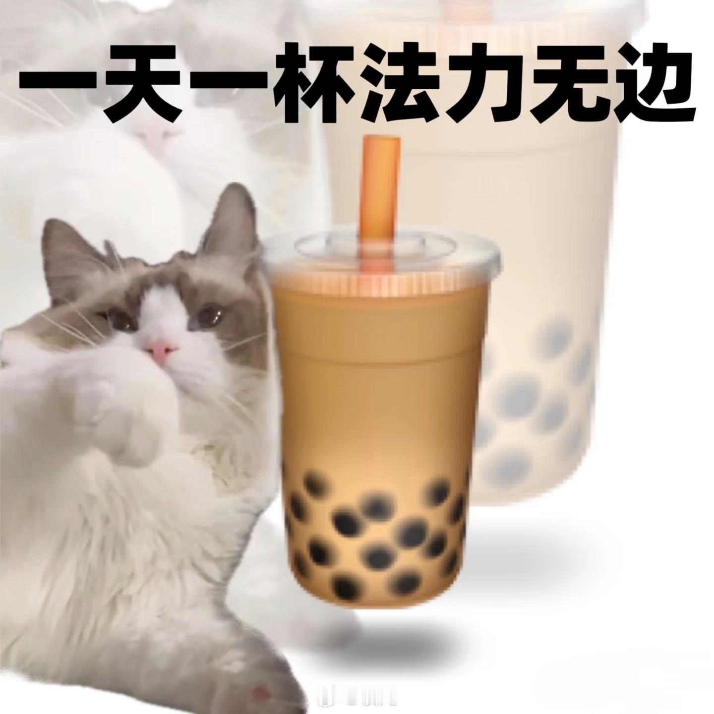 在年度报告里看到世界上的另一个我年度奶茶  我们爱老几是不会亏待自己的，虽然嘴上