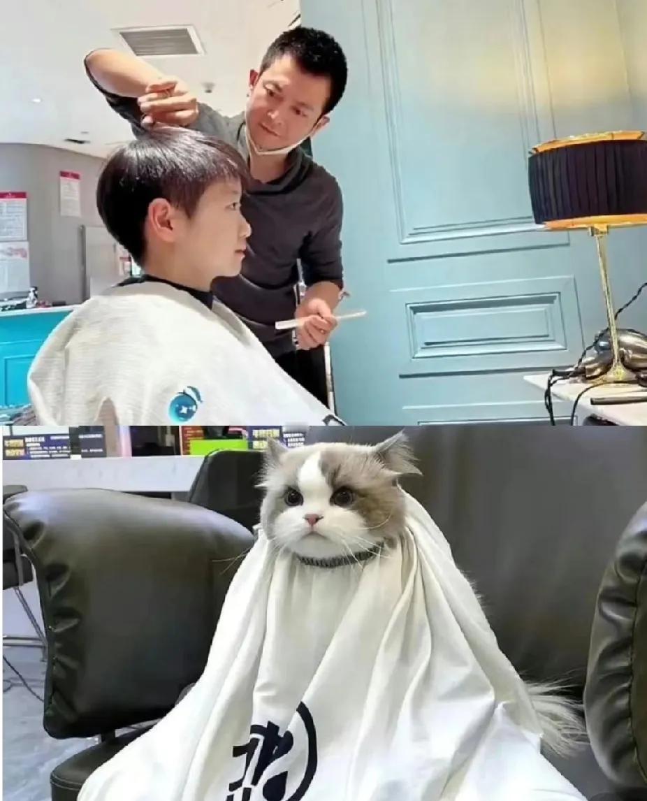 家人们谁刷到那张图了？上面是莎莎坐那儿剪头发，端端正正像个听讲的小学生，后脑勺都