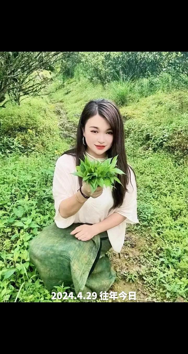 乡村美景 去做山野里自由的风 古树绿苔 乡野田间采摘