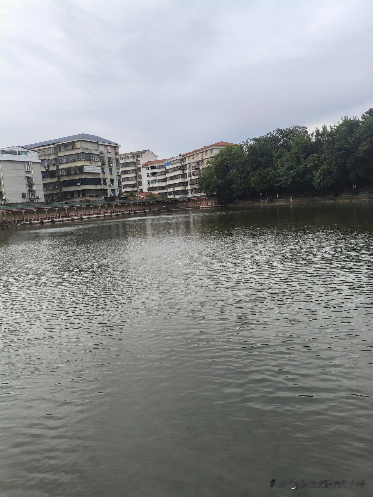 湖北应城，今年这天气还挺正常的，7号刚立秋，这几天天气温度就降下来了，今天直接给