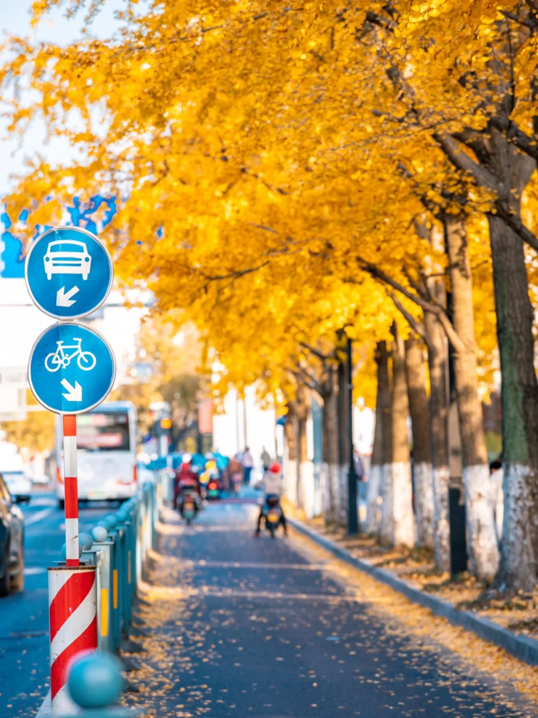 苏州打卡｜🍂苏州道前街已经迎来最美时刻🍁